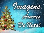 Imagens_arvores_de_Natal